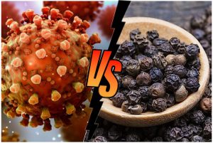 Can black pepper fight Covid-19? What Science has to say.